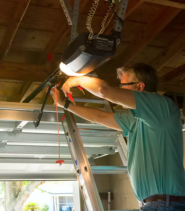 Wayne Dalton Garage Door Opener Repair in Gold Canyon, AZ