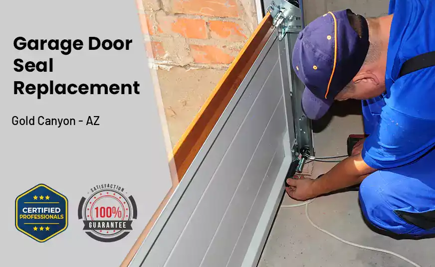 Garage Door Seal Replacement Gold Canyon - AZ