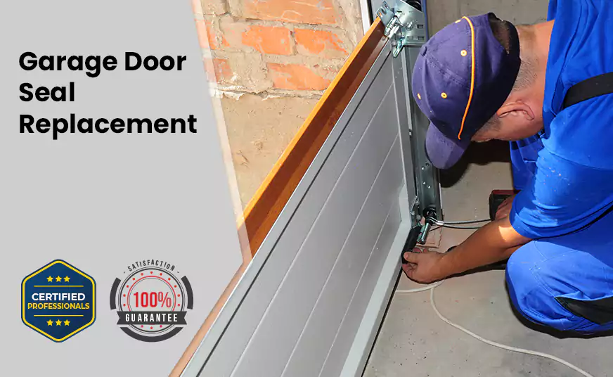 Garage Door Seal Replacement in Gold Canyon, AZ