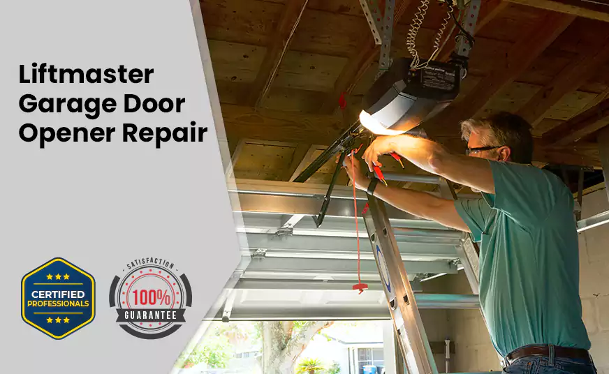 LiftMaster Garage Door Opener Repair in Gold Canyon, AZ
